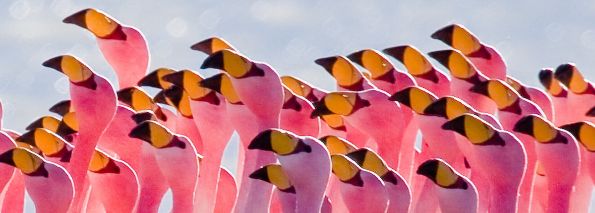 Christophe Leclerc, Chaman