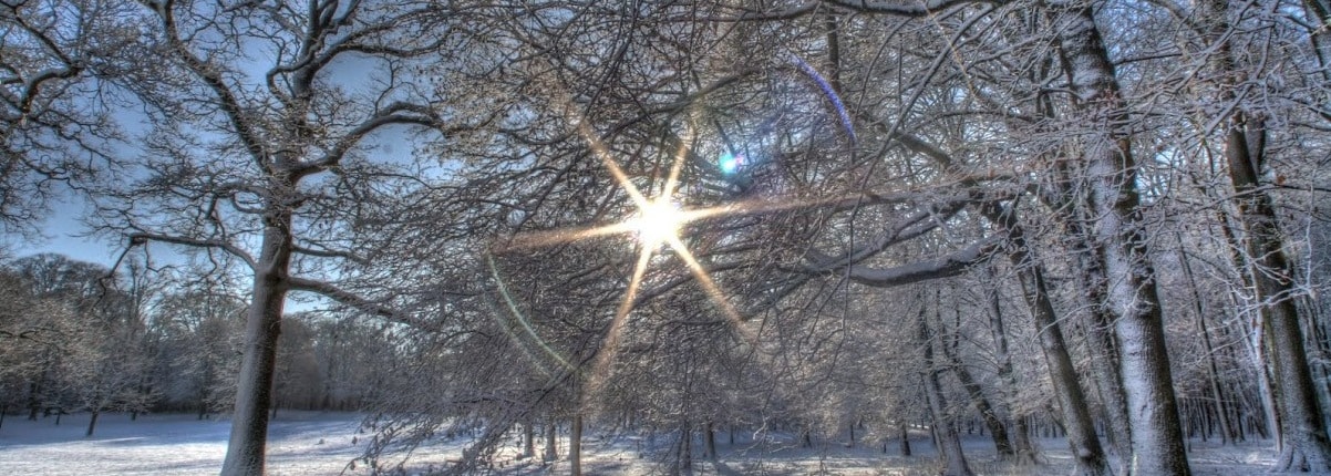 Christophe Leclerc, Chaman